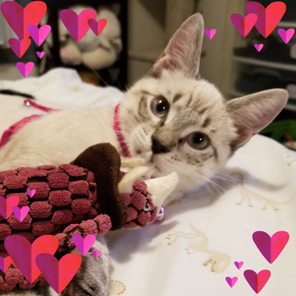 Meet your Posher, April